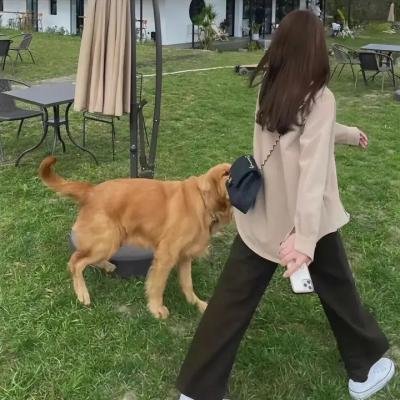荡妇